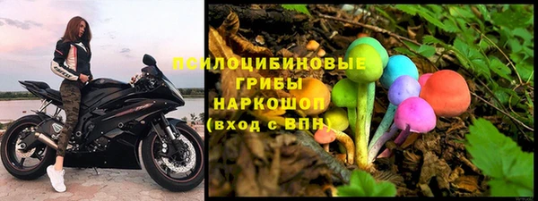 СК Богородицк
