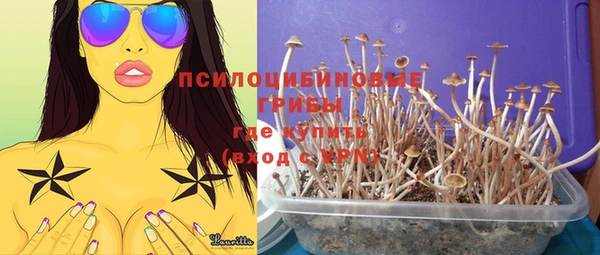 mdma Богданович