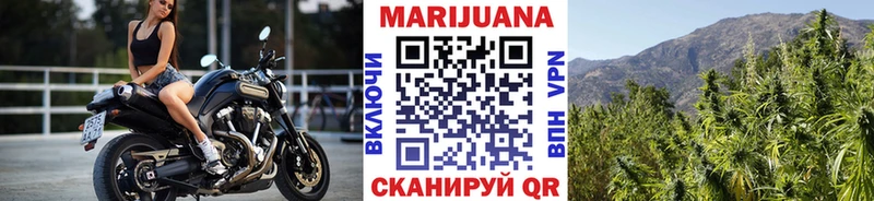 Купить где  Мураши  Конопля тримм 